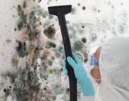 Best Comprehensive Air Testing for Mold Contaminants in USA